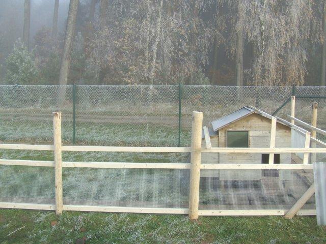DSCF7888