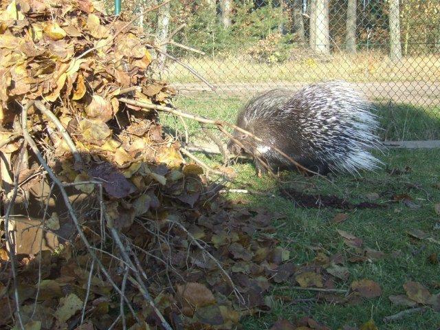 DSCF7928