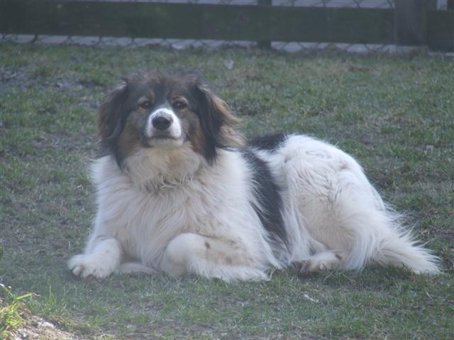 Roma Vorher (Small)