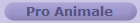 Pro Animale