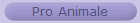 Pro Animale