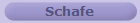 Schafe