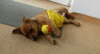 IMG-20140323-WA0000